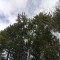 img_20250424_105637_3.jpg