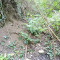 img_20250424_111517_7.jpg
