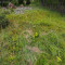 p9110025_100_pt1_5_fah_wli.jpg