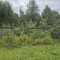 20250822_102756.jpg