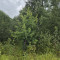 20250822_103027.jpg