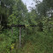 20250822_103136.jpg