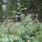 p9170016.jpg