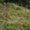 p9110026_100_pt2_25_bul_vki-1726144794.jpg