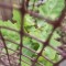 img_20260611_164422.jpg