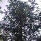 img_20260715_164650.jpg