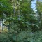 img_20260811_101911573_hdr.jpg