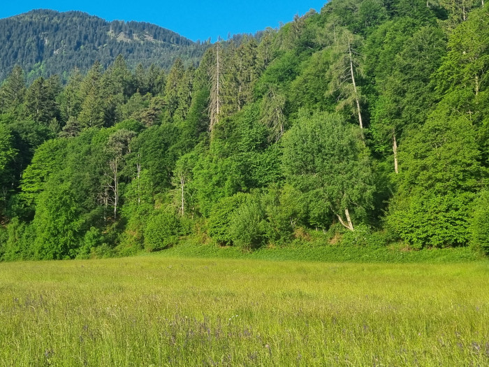20250516_070315.jpg