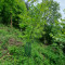 20250507_112249_copy_1512x2016.jpg