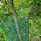 20250507_112317_copy_1512x2016.jpg