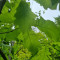 20250507_112325_copy_1512x2016.jpg