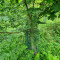 20250507_112623_copy_1512x2016.jpg