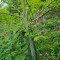 20250507_112744_copy_1512x2016.jpg