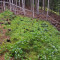 p9170008.jpg