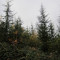 bestand-2021-2.jpg