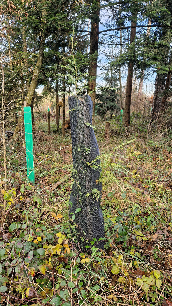 20241217_125205_dxo.jpg