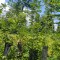 img_20260619_131936.jpg