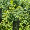 img_20260619_134346.jpg