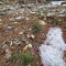 20250317_schurfung-tramblai.jpg