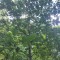 img_20260617_183424.jpg
