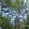 img_20260617_183429.jpg