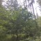 img_20260617_183745.jpg