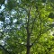 img_20260617_183922.jpg