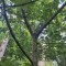 img_20260617_183938.jpg