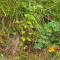 p9110073_94_pt1_60_bul.jpg