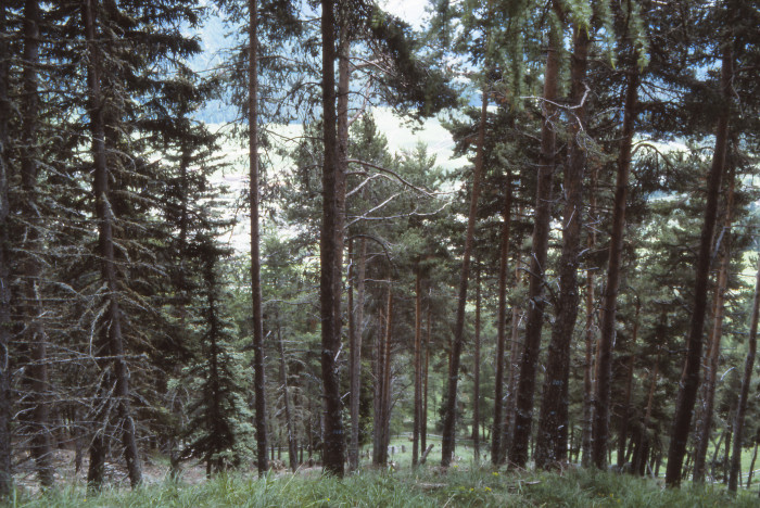 12004000_foto_1992.jpg