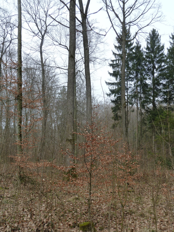 61010000_foto_2012.jpg