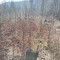 img_20260409_100616.jpg