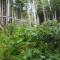 p9170001.jpg
