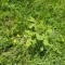 img_20260611_143518.jpg