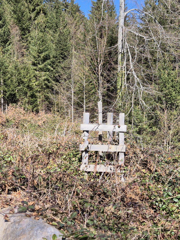 photo_illustration_plantation.jpg
