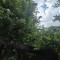 20250822_101631.jpg