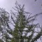 img_20260715_153355.jpg