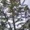 img_20260715_154211.jpg