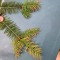 img_20260715_154429.jpg