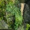 img_20260702_173043.jpg
